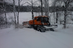 Jan2011-first_groomer_to_Westdale-500x375
